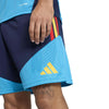 Spanje Training Shorts
