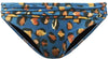 pant regular