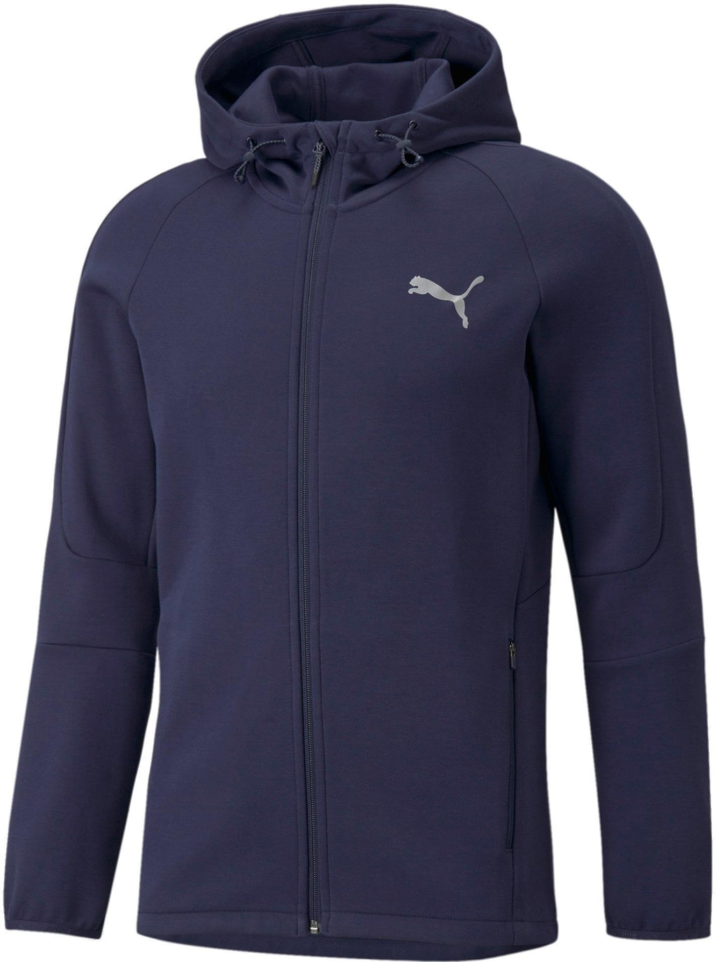 Evostripe Fz Hoodie