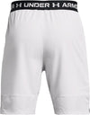 Ua Vanish Woven Shorts