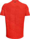 Seamless FadeHerren T-Shirt