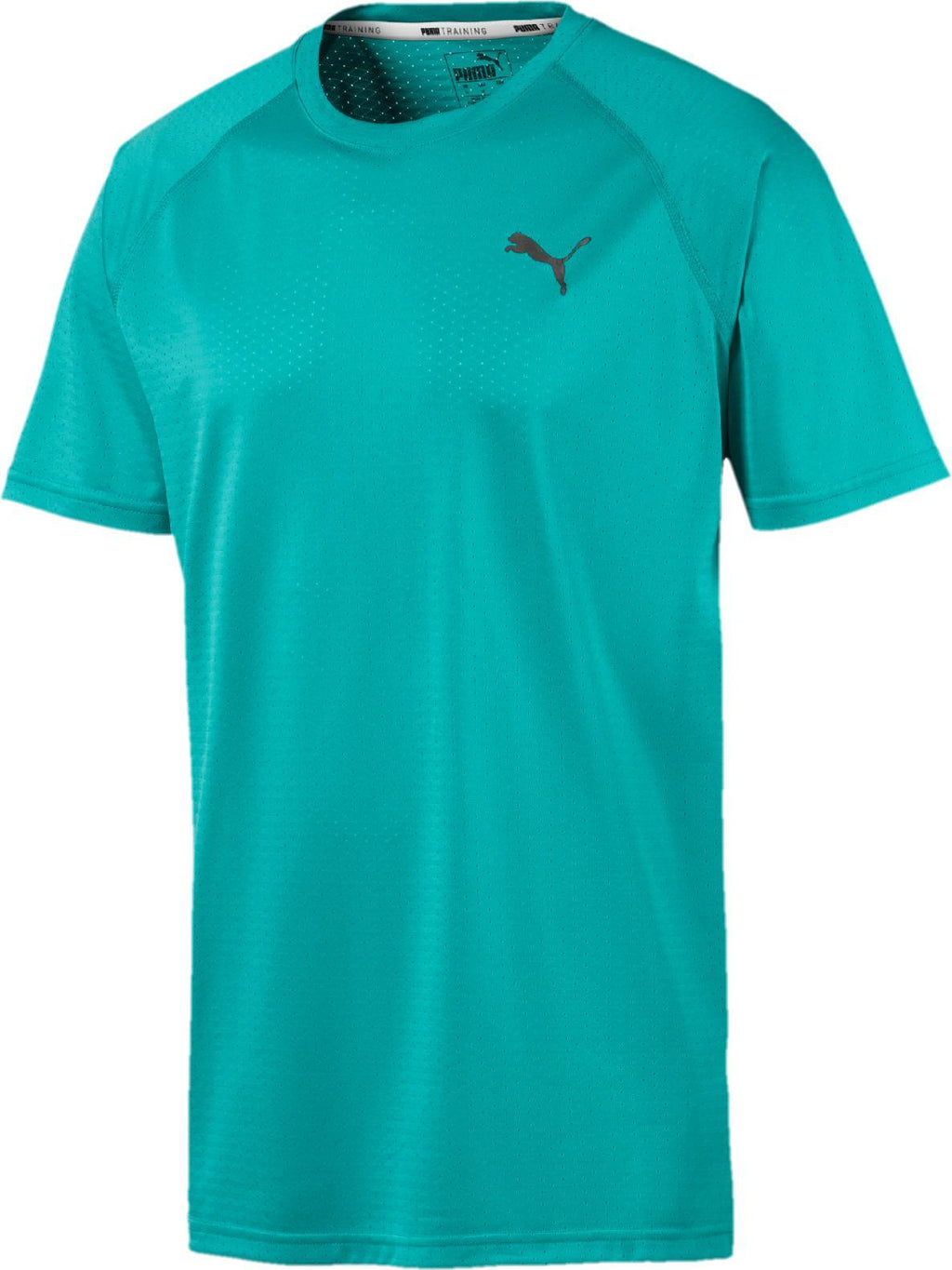 puma ss tech tee