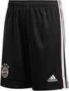 FC Bayern München 20/21 Derde Short
