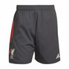 Liverpool FC Dt Training Shorts replica