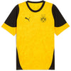 Bvb Training Jersey