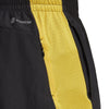 Own the Run short