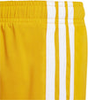 3s Shorts By