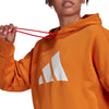 W Fi 3b Hoodie