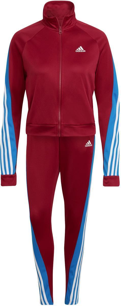 Sportswear Teamsport Trainingspak