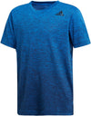 yb tr grad tee