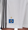 Hsv A Sho