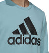 Essentials Big Logo Sweatshirt