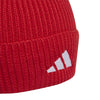 FC Bayern München beanie