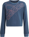 Essentials Logo Sweatshirt
