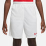 NIKE DRI-FIT PARK III BIG KIDS
