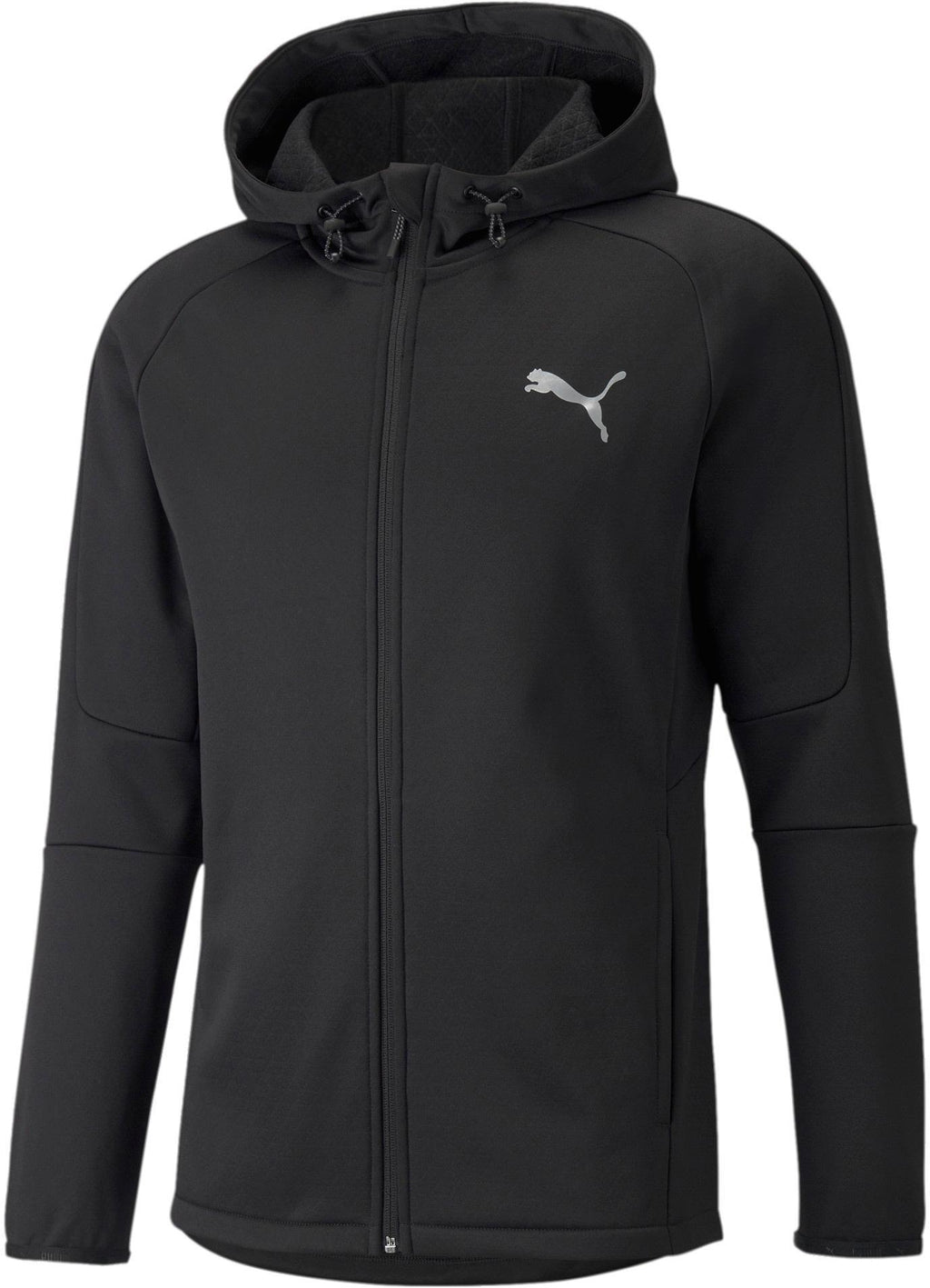 Evostripe Warm Fz Hoodie