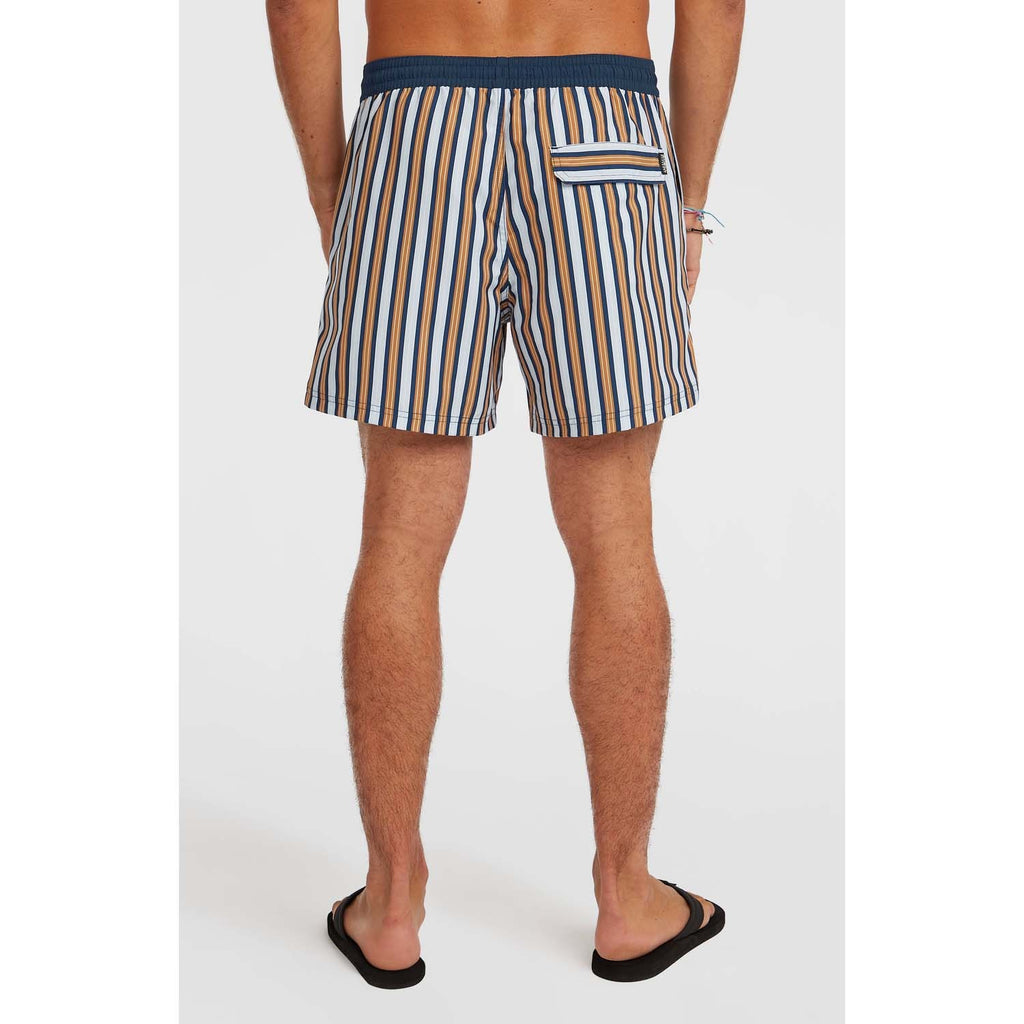 Originals Stripe 15 Zwemshort