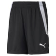 teamLIGA Shorts Short 100%PES