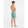 Culture Beachshort