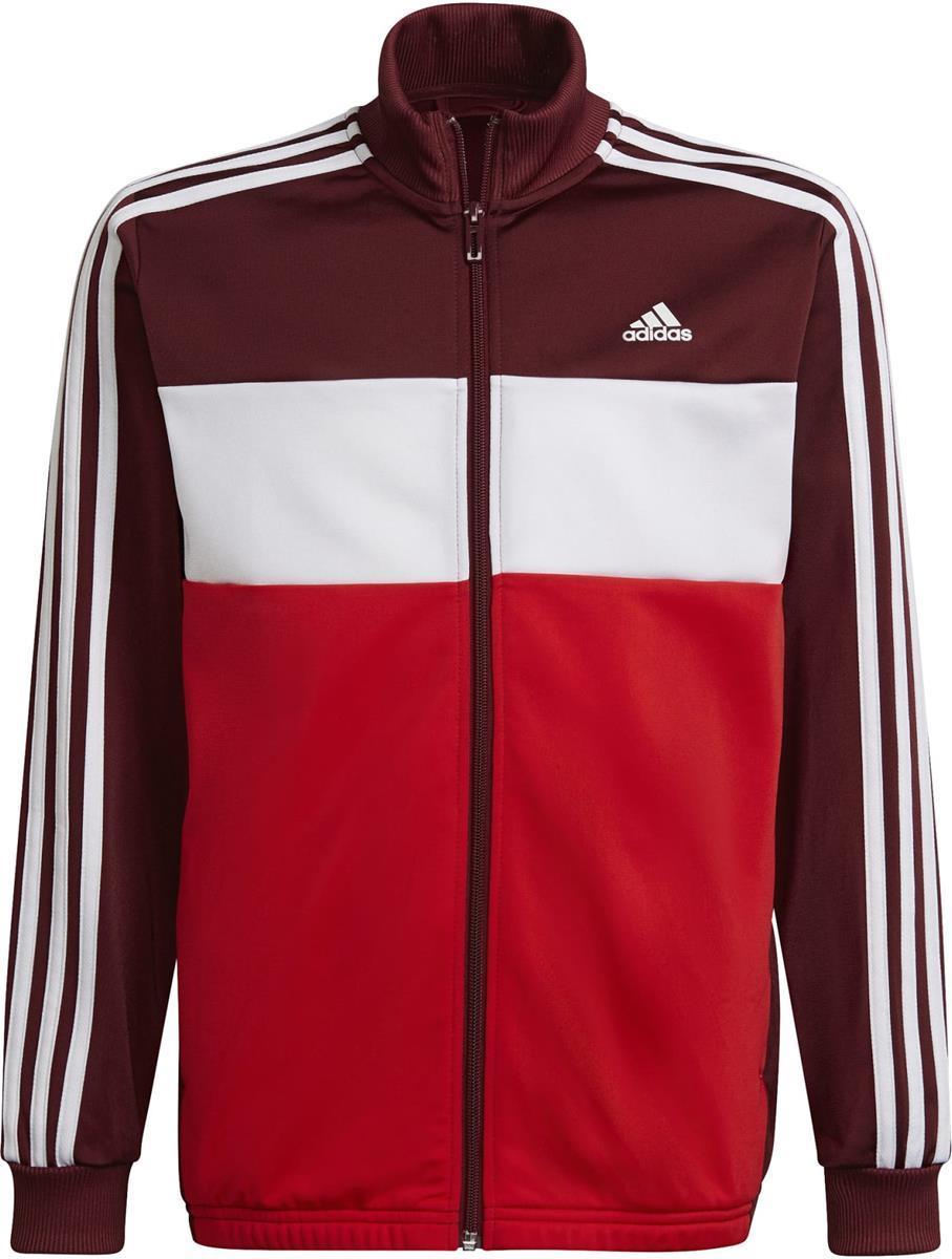 B TIBERIO TSKn. Trainingsanzug