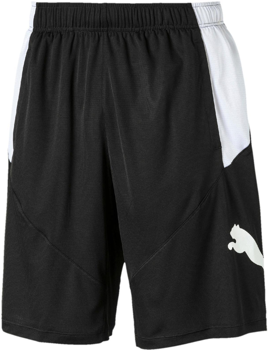 puma cat short
