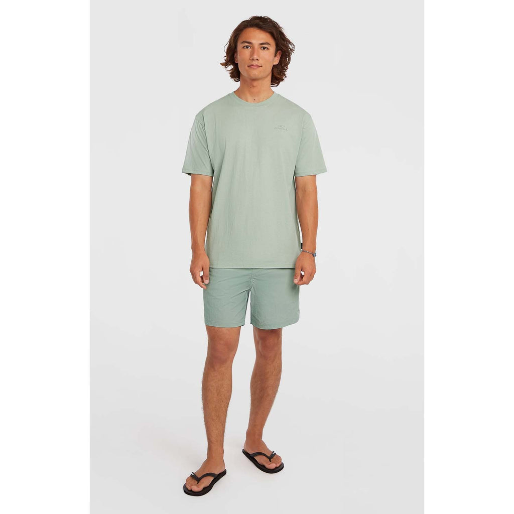 Vert 16 Zwemshort