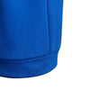 3-Stripes Doubleknit Ritshoodie