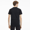 evostripe tee