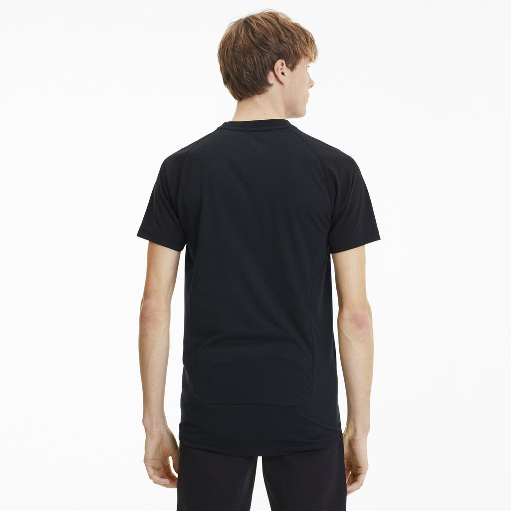 evostripe tee