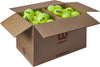 Triniti 72er Without Can/all In A Box