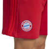 FC Bayern München DNA Short