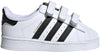 Superstar Schoenen