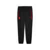 Acm Pumatech Woven Pants