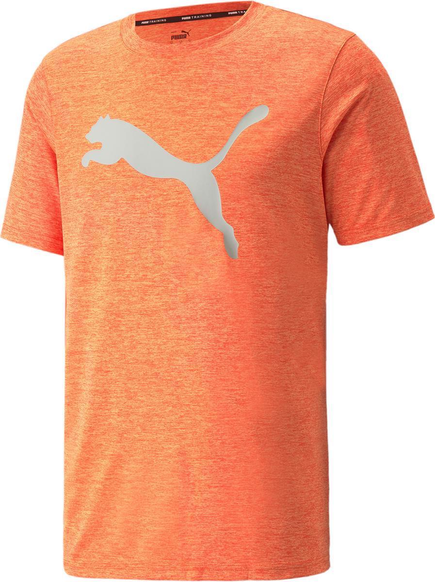 Train Fav Heather Cat Ss Tee