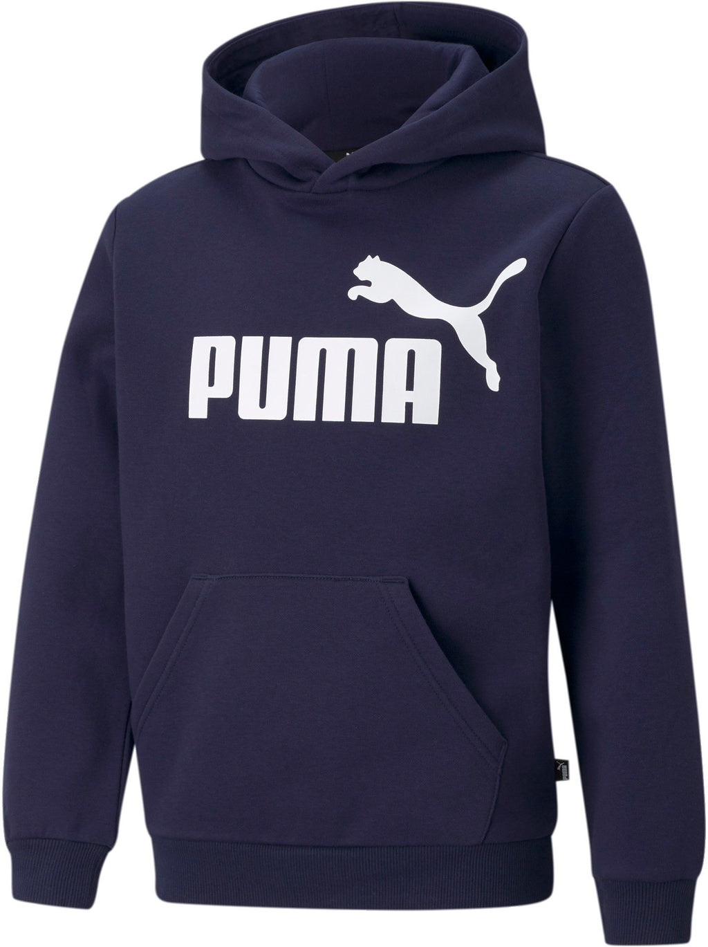 Essentials Big Logo kids hoodie