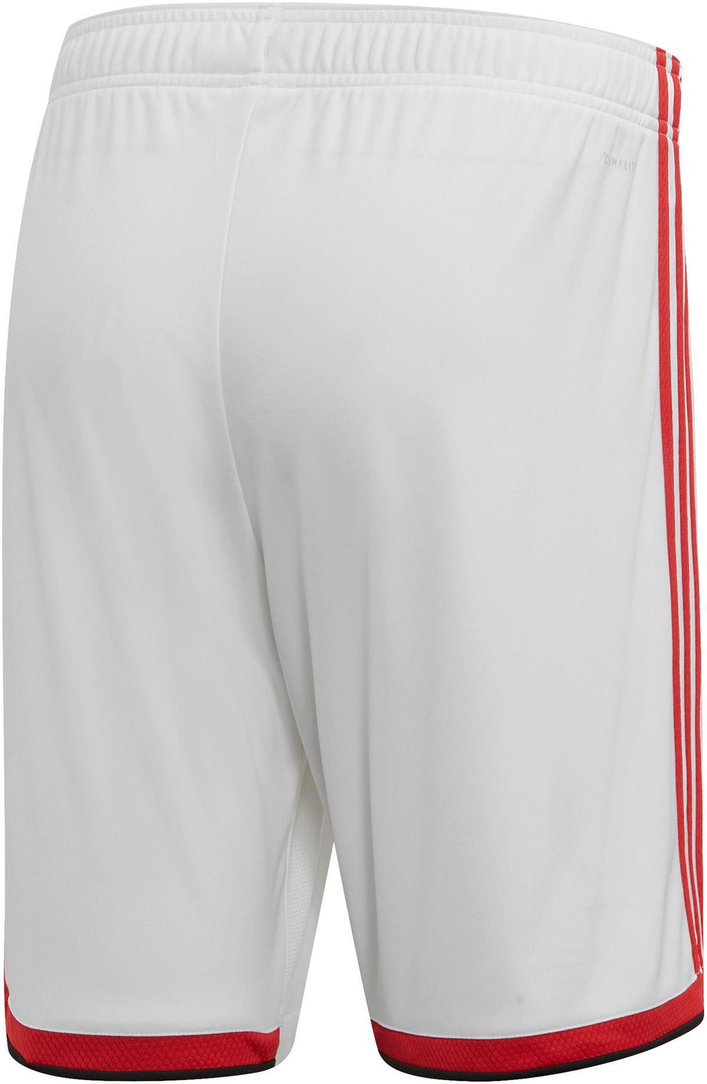 Ajax thuisshort 2019-2020