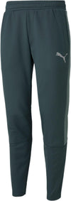 Evostripe Warm Pants
