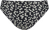 pant regular