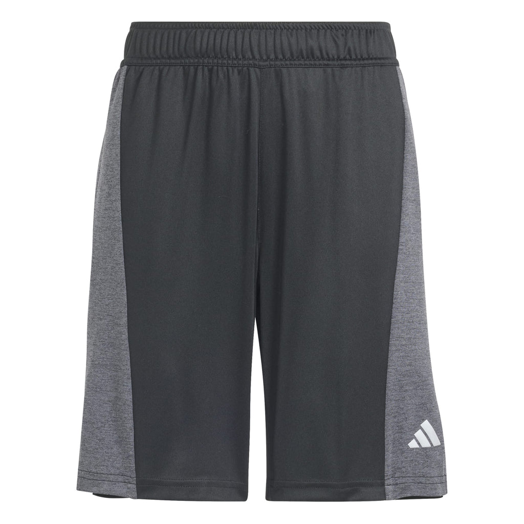 Training AEROREADY Heather short