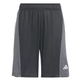 Training AEROREADY Heather short
