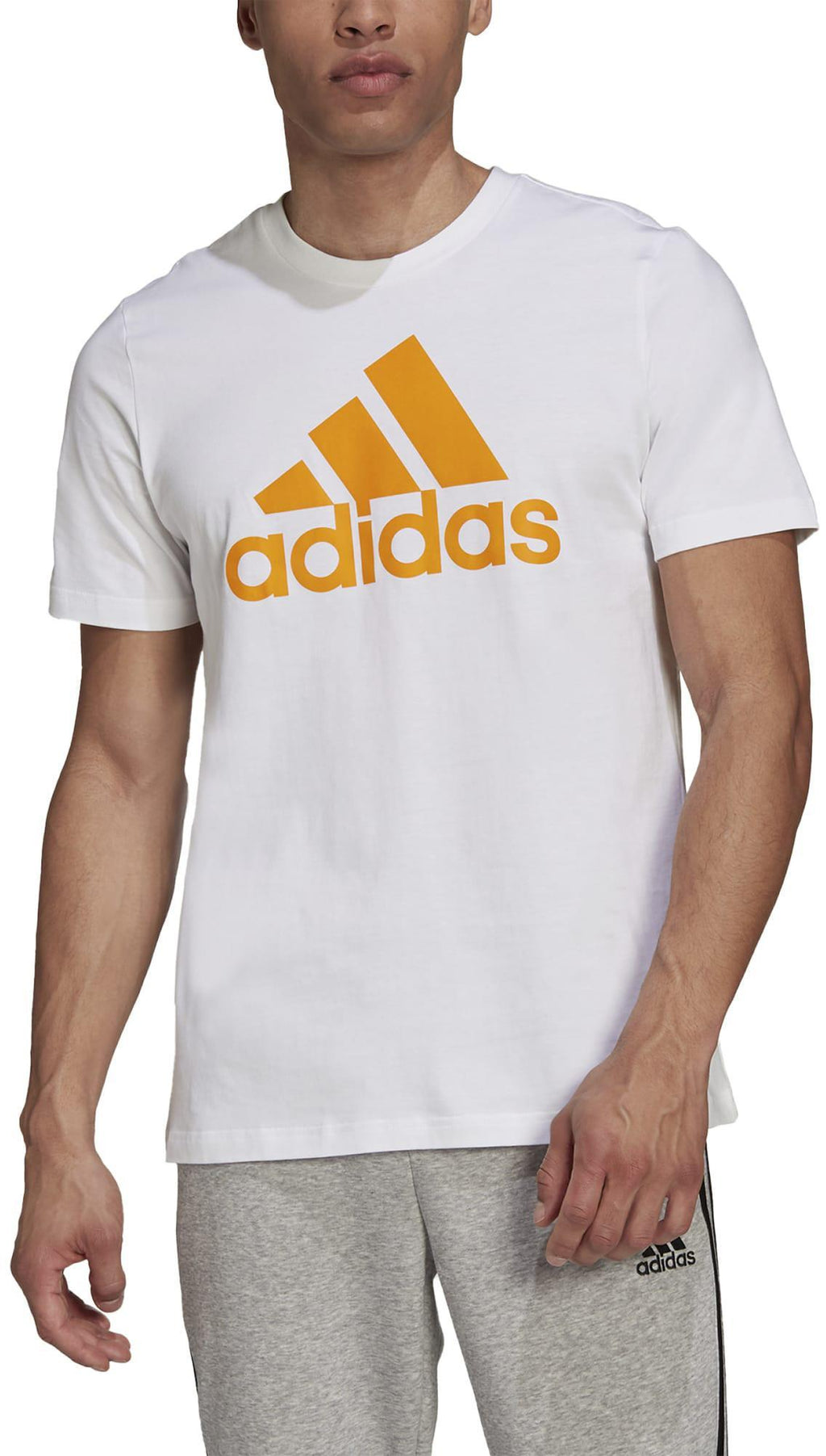 M BL SJ Hr. T-Shirt,100% Co - Single jersey