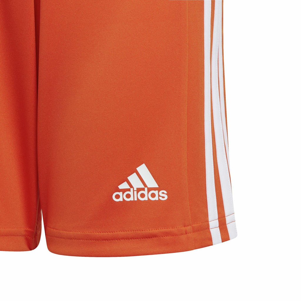 squad 21 sho y