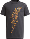 Graphic kids t-shirt