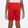 Dri-FIT Academy 23 short
