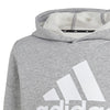Big Logo Essentials Katoenen hoodie