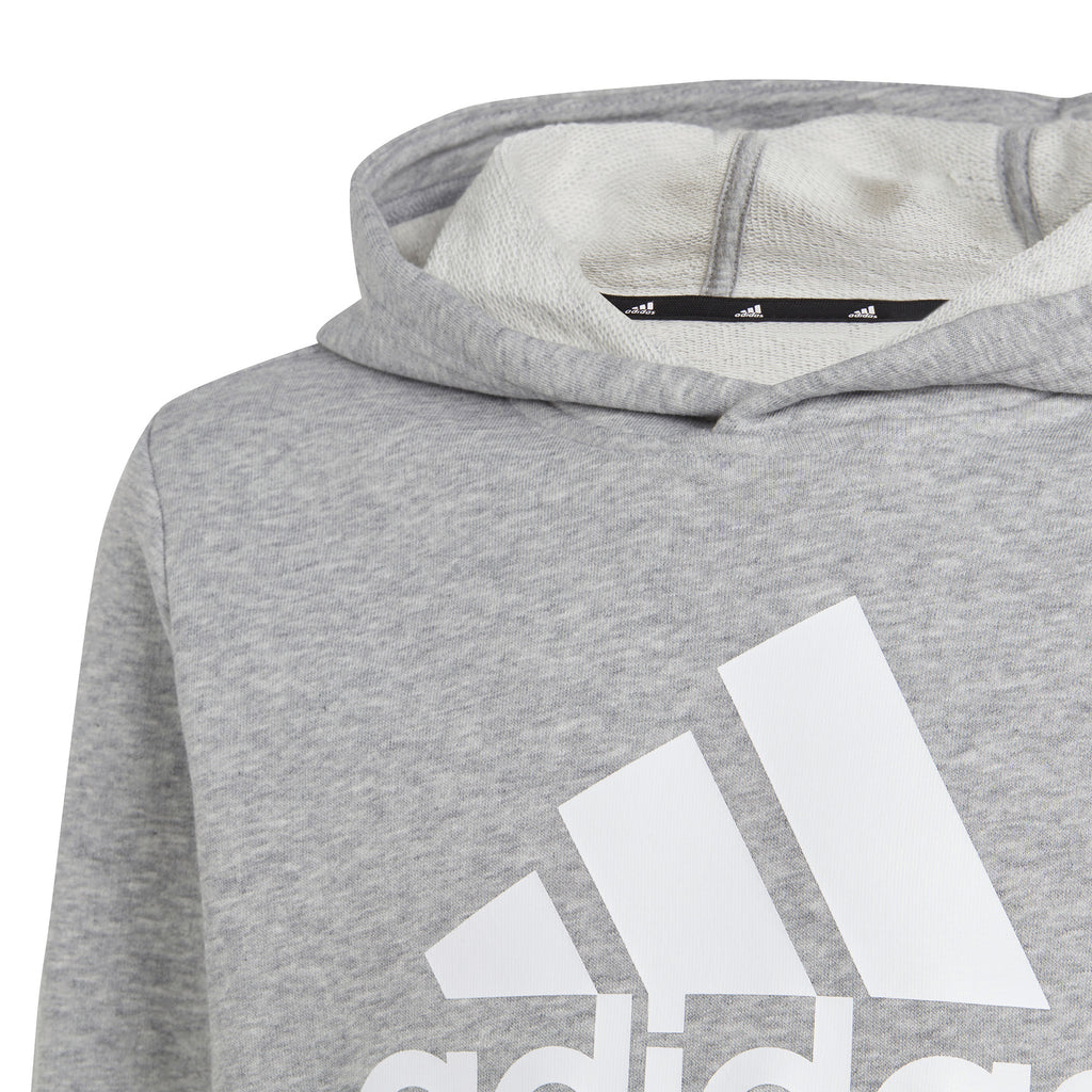 Big Logo Essentials Katoenen hoodie