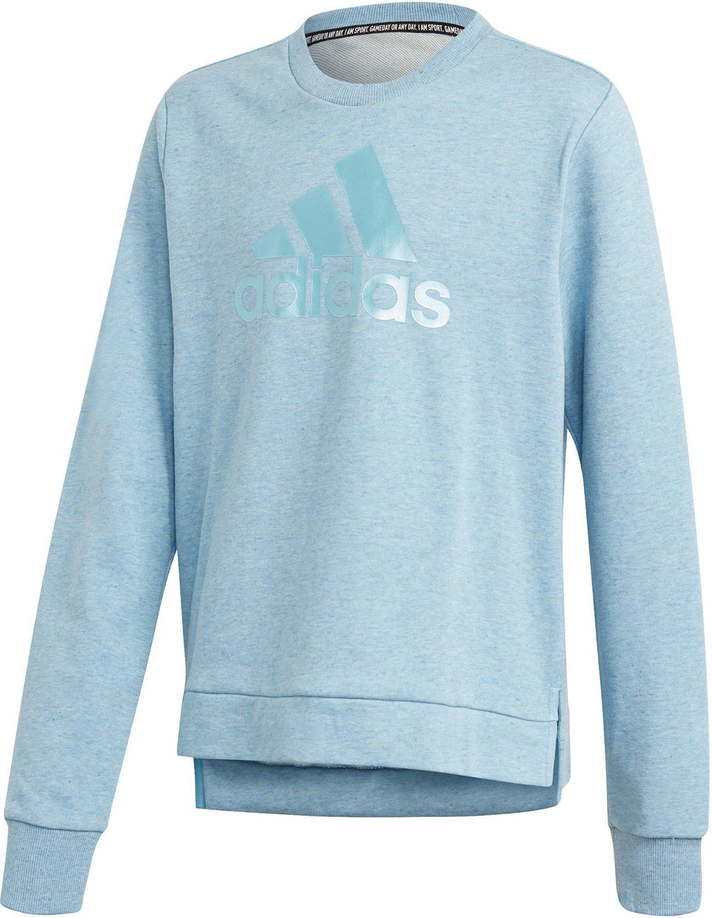 Future Icons Logo Sweatshirt