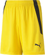 Teamliga kids short
