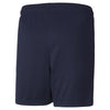 Teamrise Training Shorts Jr