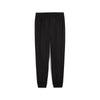 Acm Pumatech Woven Pants